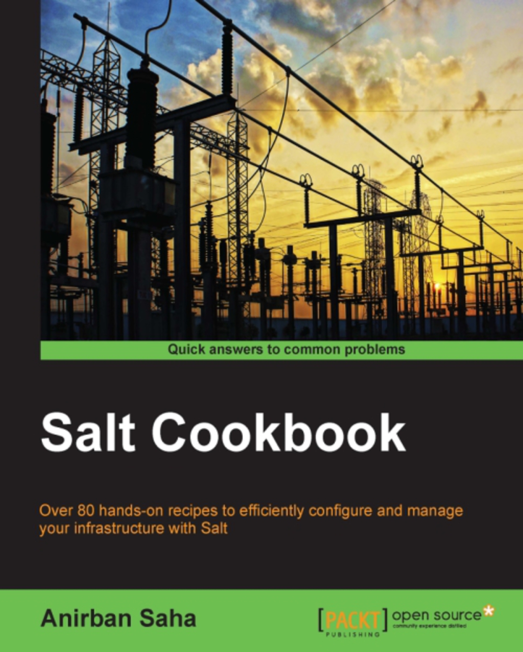 Salt Cookbook 1st Edition