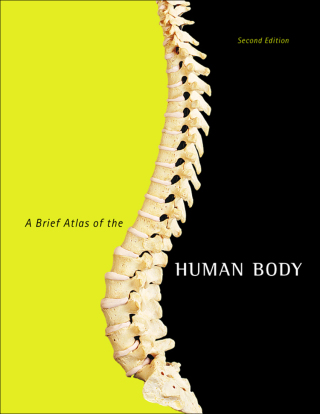 Cover image: Brief Atlas of the Human Body, A 2nd edition 9780805373738