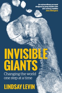 Cover image: Invisible Giants 9781785927409