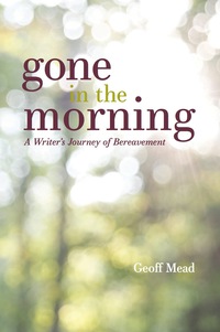 Cover image: Gone in the Morning 9781785923555