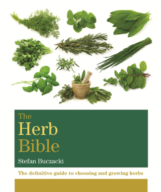 Cover image: The Herb Bible 9781784720230