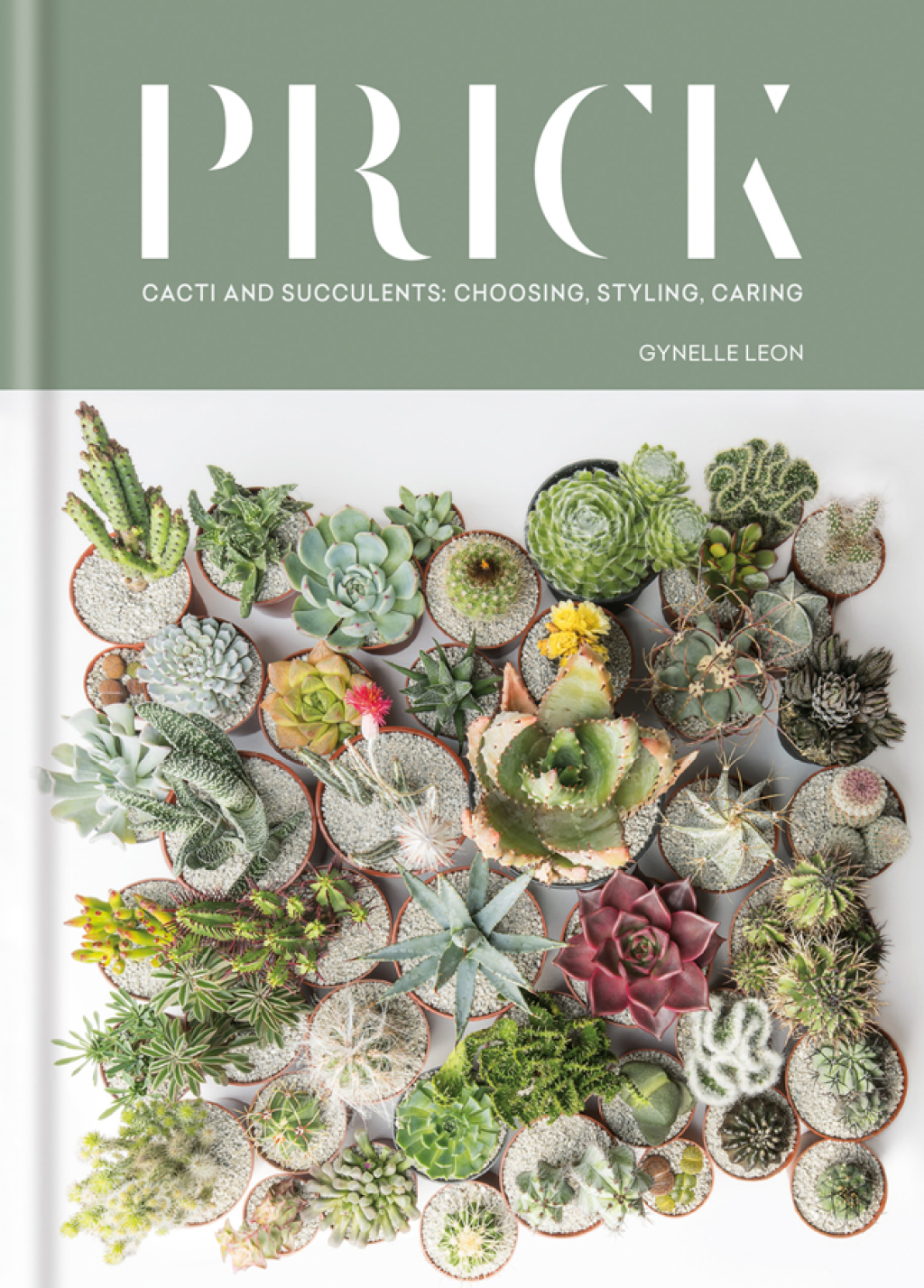 Prick (eBook)