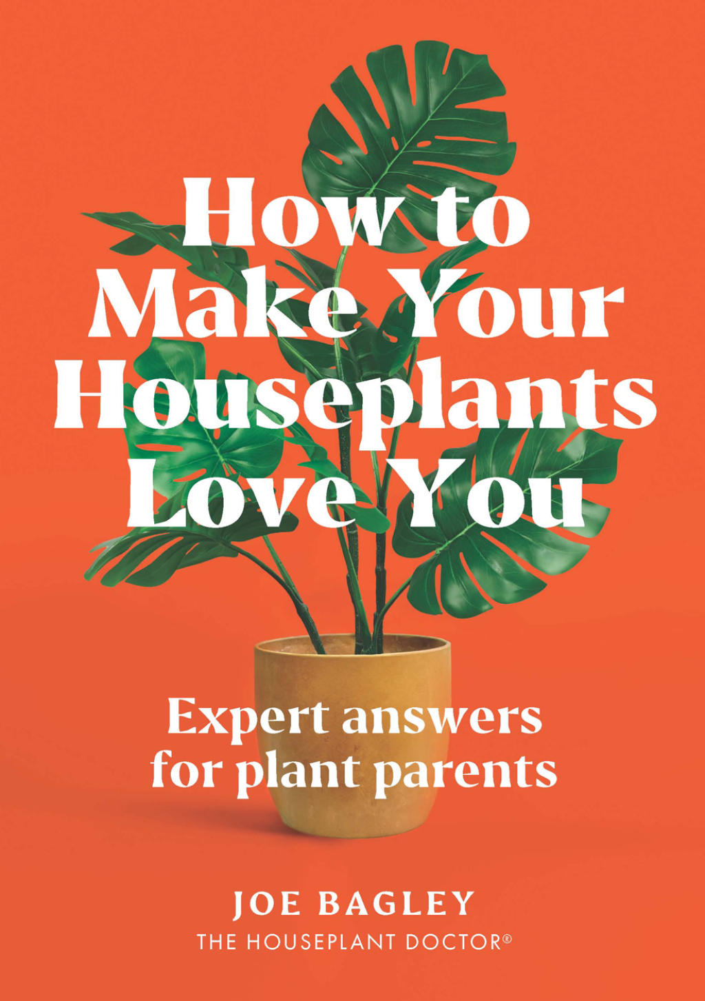 How to Make Your Houseplants Love You Expert Answers for Plant Parents