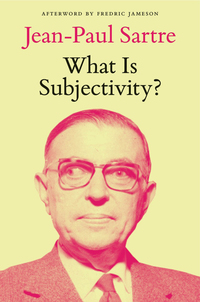 صورة الغلاف: What Is Subjectivity? 9781784781378