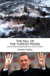 صورة الغلاف: The Fall of the Turkish Model 9781784783327