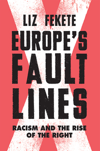 Cover image: Europe's Fault Lines 9781784787226