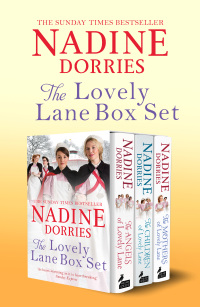 Cover image: The Lovely Lane Box Set 1st edition