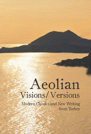 Omslagafbeelding: Aeolian Visions / Versions 1st edition 9781840598537