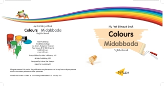 Cover image: My First Bilingual Book–Colours (English–Somali) 9781840595673