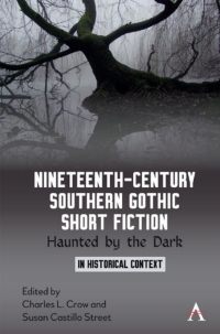 Cover image: Nineteenth-Century Southern Gothic Short Fiction 1st edition 9781785273872