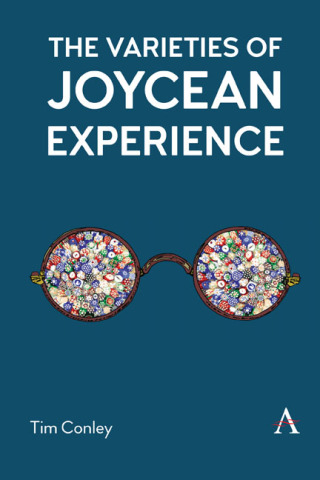 Immagine di copertina: The Varieties of Joycean Experience 1st edition 9781785274596