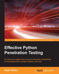 Cover image: Effective Python Penetration Testing 1st edition 9781785280696