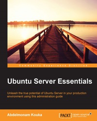 Omslagafbeelding: Ubuntu Server Essentials 1st edition 9781785285462