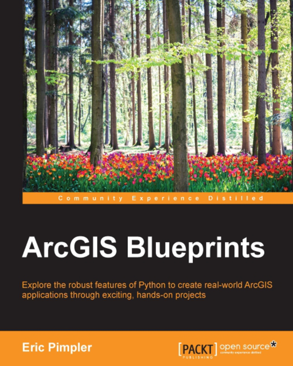 ArcGIS Blueprints 1st Edition