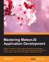 Cover image: Mastering MeteorJS Application Development 1st edition 9781785282379