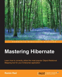 Imagen de portada: Mastering Hibernate 1st edition 9781782175339