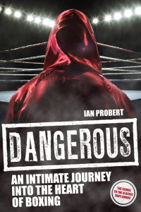 Cover image: Dangerous 9781785311994