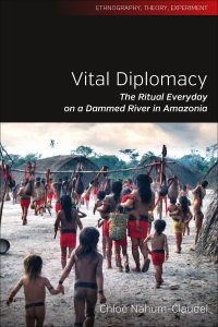 Cover image: Vital Diplomacy 1st edition 9781785334061