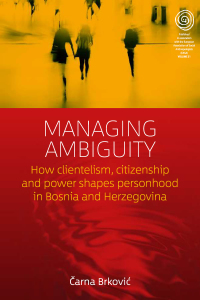 Cover image: Managing Ambiguity 1st edition 9781785334146