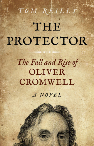 Cover image: The Protector 9781785351990