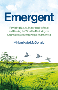 Cover image: Emergent 9781785353727