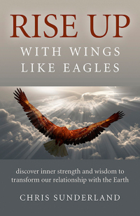 Cover image: Rise Up - with Wings Like Eagles 9781785354649