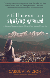 Titelbild: Stillness on Shaking Ground 9781785355332