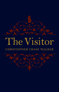Cover image: The Visitor 9781785355356