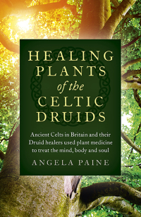 Cover image: Healing Plants of the Celtic Druids 9781785355547