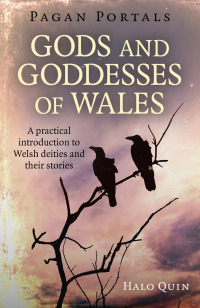 Omslagafbeelding: Pagan Portals - Gods and Goddesses of Wales 9781785356216
