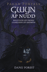 Cover image: Pagan Portals - Gwyn ap Nudd 9781785356292