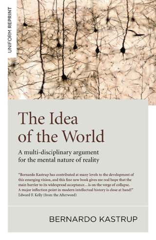 Cover image: The Idea of the World 9781785357398