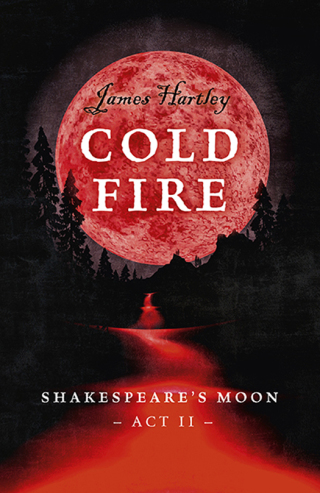 Cover image: Cold Fire 9781785357626