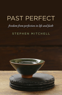 Cover image: Past Perfect 9781785357886
