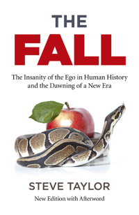 Omslagafbeelding: The Fall 2nd edition 9781785358043