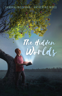 Cover image: The Hidden Worlds 9781785358203