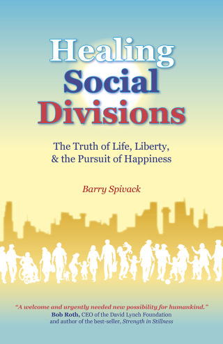 表紙画像: Healing Social Divisions 9781785359699