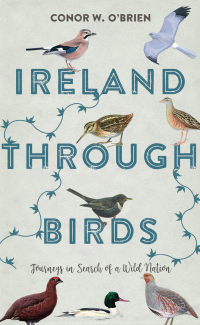 Immagine di copertina: Ireland Through Birds 1st edition 9781785373053