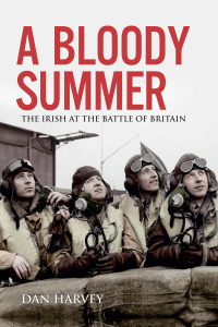 Imagen de portada: A Bloody Summer 1st edition 9781785373251