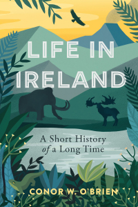 Cover image: Life in Ireland 1st edition 9781785373848
