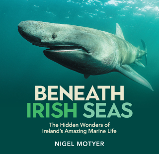 Cover image: Beneath Irish Seas 1st edition 9781785375705