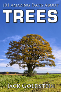 Titelbild: 101 Amazing Facts about Trees 1st edition 9781783330928