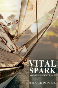 Imagen de portada: Vital Spark 1st edition 9781785381478