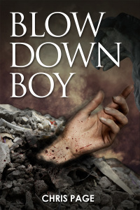 Cover image: Blow Down Boy 2nd edition 9781785383397