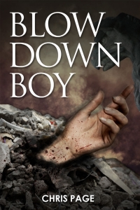 Titelbild: Blow Down Boy 2nd edition 9781849891585