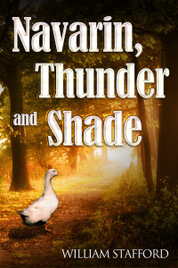 Cover image: Navarin, Thunder and Shade 1st edition 9781785384202