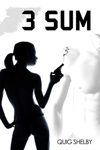 Cover image: 3 SUM 1st edition 9781783336333