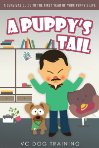 Cover image: A Puppy's Tail 1st edition 9781781663783