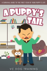 表紙画像: A Puppy's Tail 1st edition 9781849897914