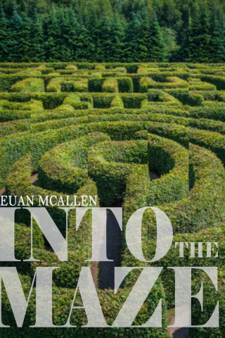 Cover image: Into The Maze 1st edition 9781785387456